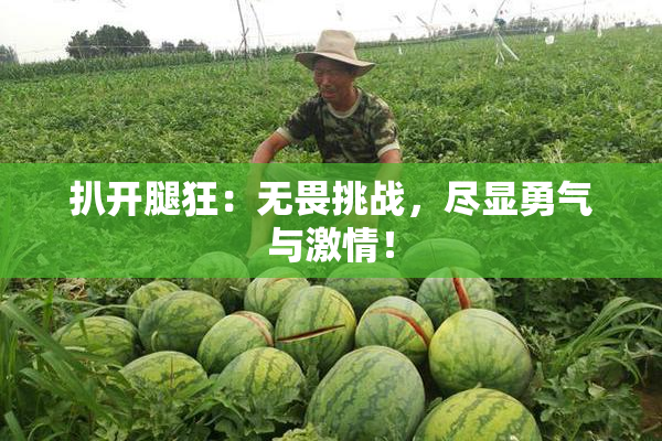 扒开腿狂：无畏挑战，尽显勇气与激情！