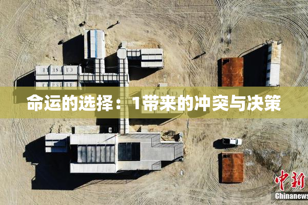 命运的选择：1带来的冲突与决策