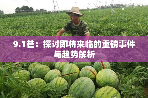 9.1芒：探讨即将来临的重磅事件与趋势解析
