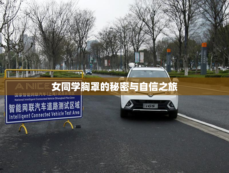 女同学胸罩的秘密与自信之旅