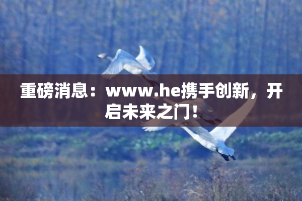 重磅消息：www.he携手创新，开启未来之门！