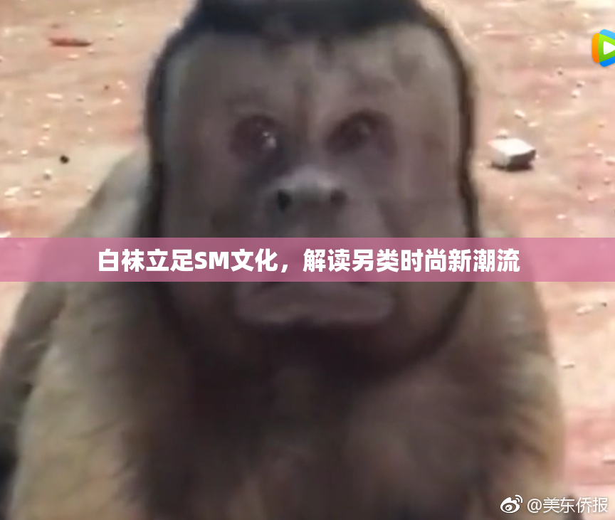 白袜立足SM文化，解读另类时尚新潮流