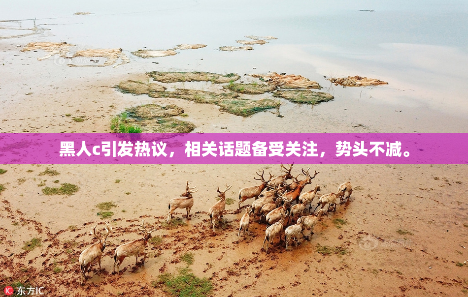 黑人c引发热议，相关话题备受关注，势头不减。
