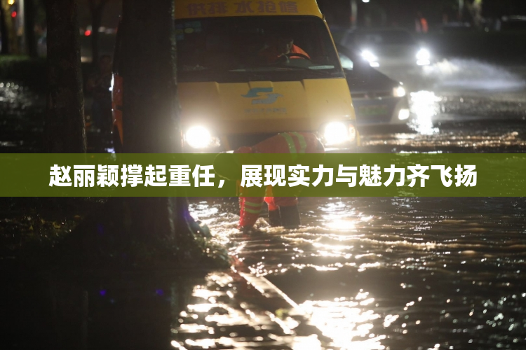 赵丽颖撑起重任，展现实力与魅力齐飞扬