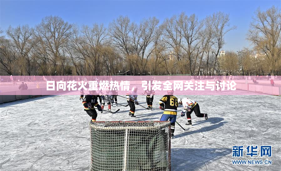 日向花火重燃热情，引发全网关注与讨论