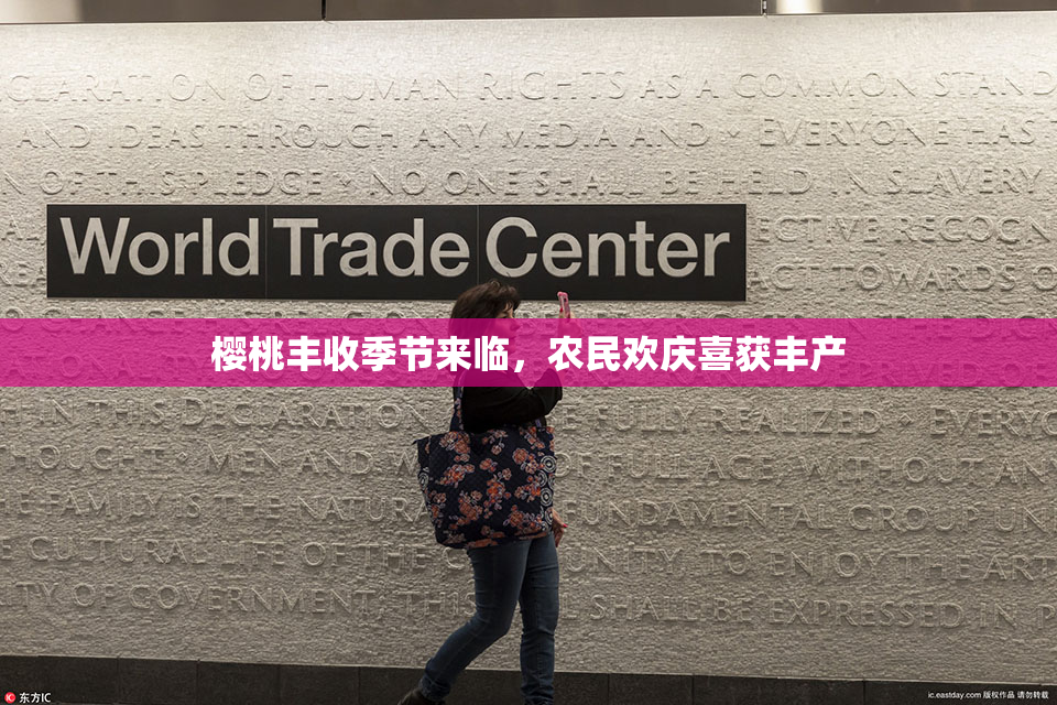 樱桃丰收季节来临，农民欢庆喜获丰产