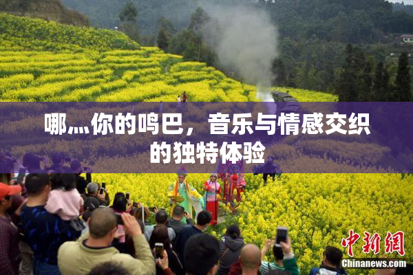 哪灬你的鸣巴，音乐与情感交织的独特体验
