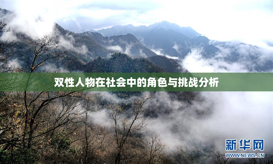 双性人物在社会中的角色与挑战分析