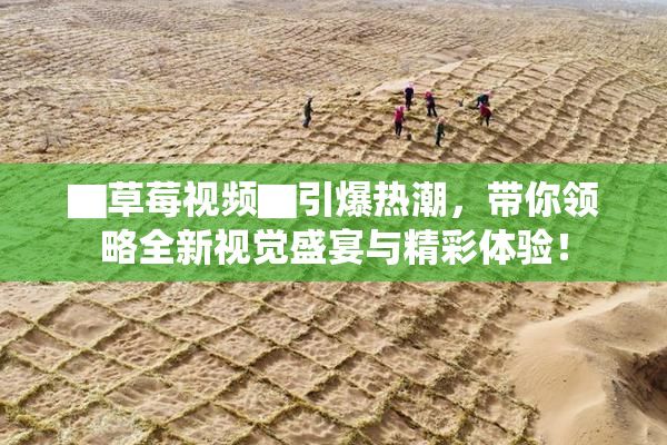 ▇草莓视频▇引爆热潮，带你领略全新视觉盛宴与精彩体验！