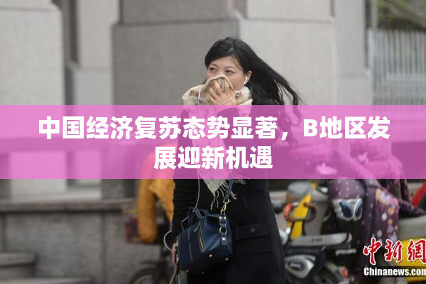 中国经济复苏态势显著，B地区发展迎新机遇