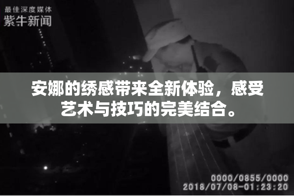 安娜的绣感带来全新体验，感受艺术与技巧的完美结合。