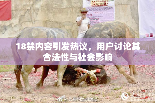 18禁内容引发热议，用户讨论其合法性与社会影响