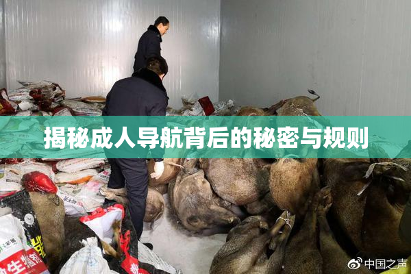 揭秘成人导航背后的秘密与规则