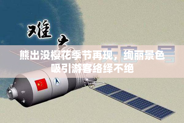 熊出没樱花季节再现，绚丽景色吸引游客络绎不绝