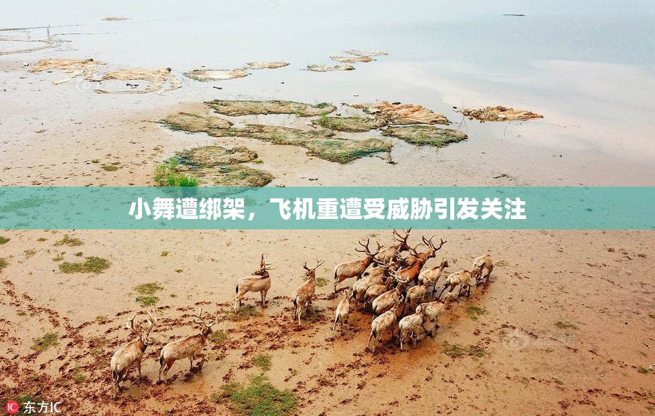 小舞遭绑架，飞机重遭受威胁引发关注
