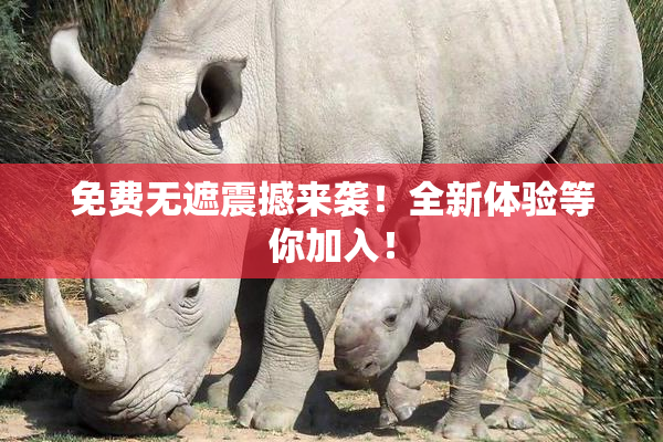 免费无遮震撼来袭！全新体验等你加入！