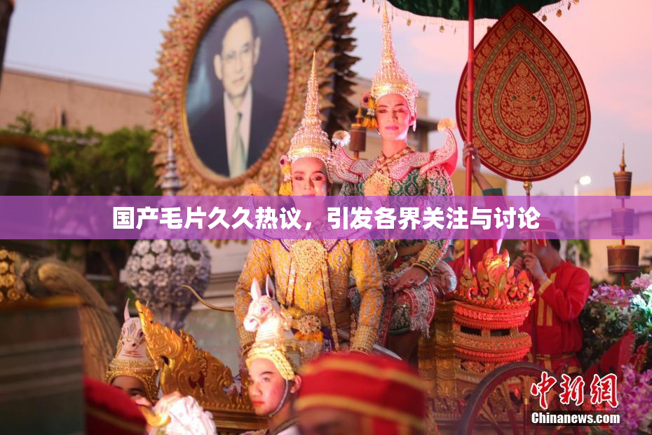 国产毛片久久热议，引发各界关注与讨论