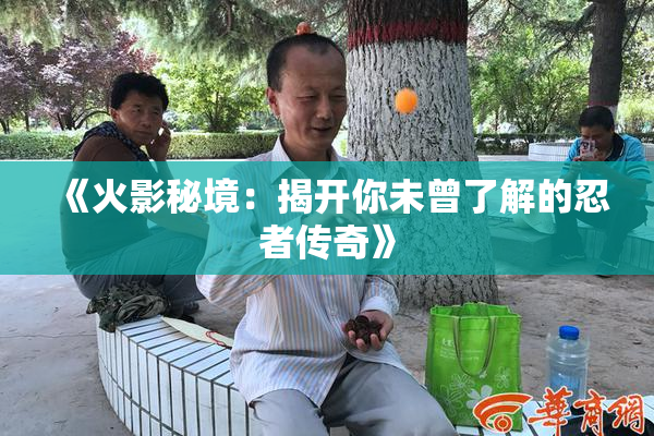 《火影秘境：揭开你未曾了解的忍者传奇》
