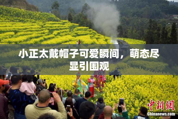 小正太戴帽子可爱瞬间，萌态尽显引围观