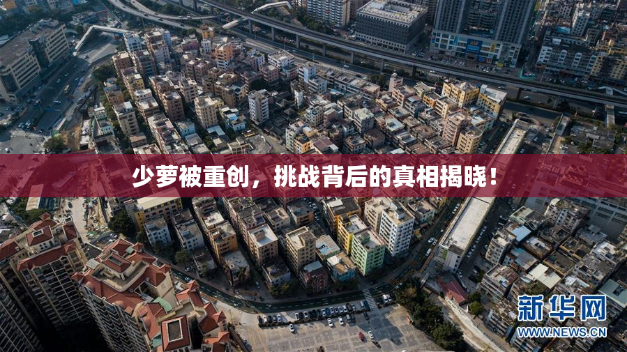 少萝被重创，挑战背后的真相揭晓！