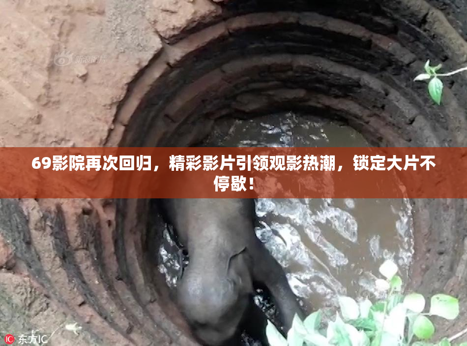 69影院再次回归，精彩影片引领观影热潮，锁定大片不停歇！