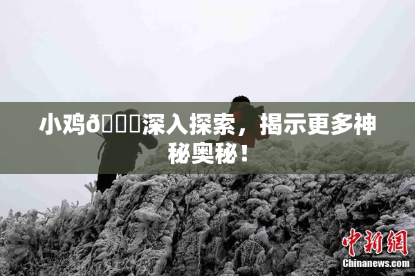 小鸡🐔深入探索，揭示更多神秘奥秘！