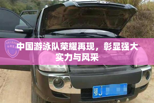 中国游泳队荣耀再现，彰显强大实力与风采