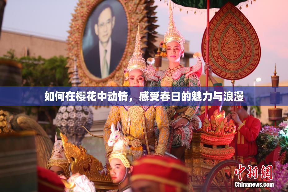 如何在樱花中动情，感受春日的魅力与浪漫
