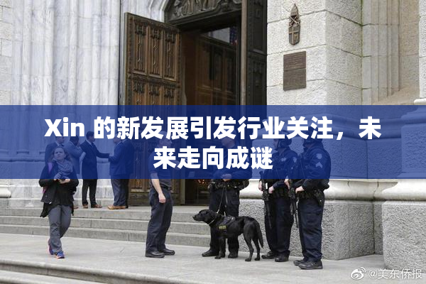 Xin 的新发展引发行业关注，未来走向成谜