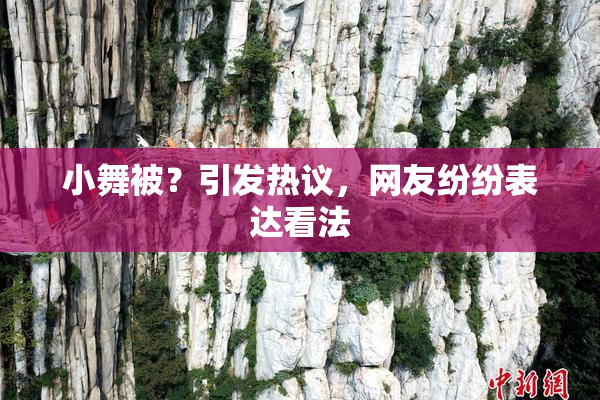 小舞被？引发热议，网友纷纷表达看法