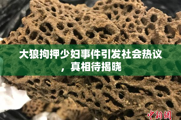 大狼拘押少妇事件引发社会热议，真相待揭晓