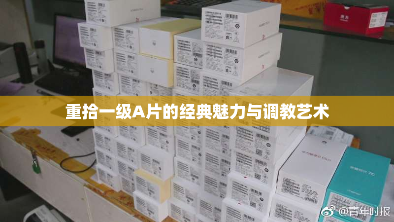 重拾一级A片的经典魅力与调教艺术