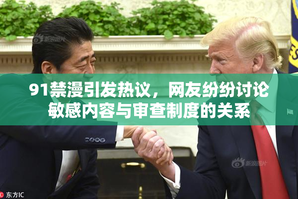 91禁漫引发热议，网友纷纷讨论敏感内容与审查制度的关系