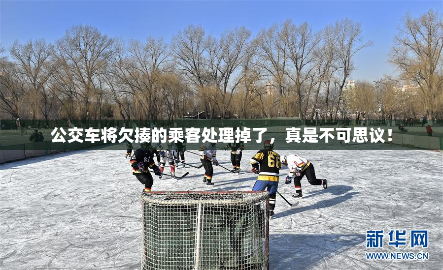 公交车将欠揍的乘客处理掉了，真是不可思议！