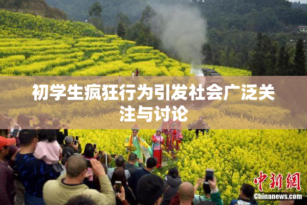 初学生疯狂行为引发社会广泛关注与讨论