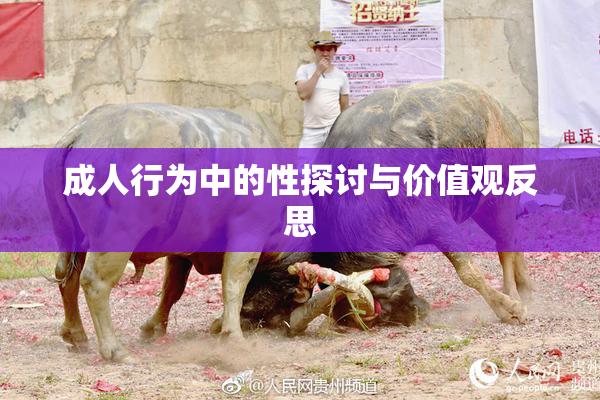 成人行为中的性探讨与价值观反思