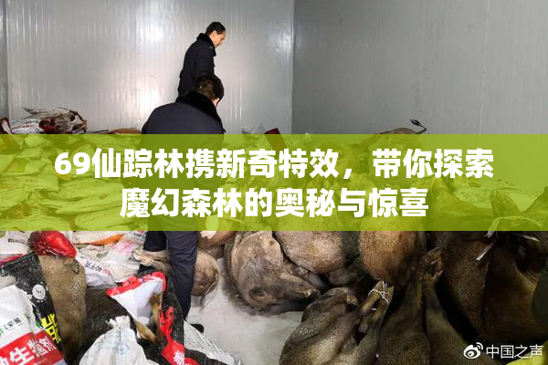 69仙踪林携新奇特效，带你探索魔幻森林的奥秘与惊喜