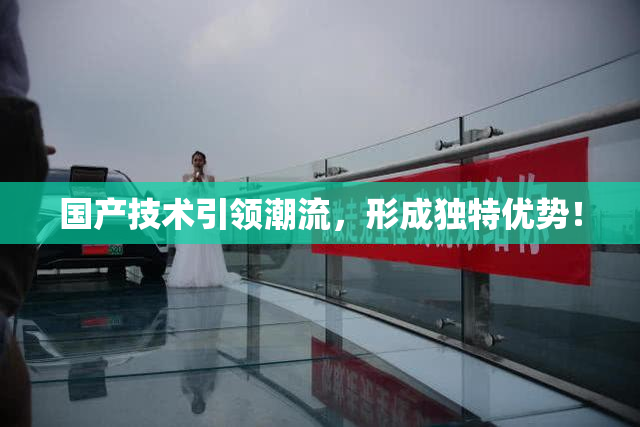 国产技术引领潮流，形成独特优势！