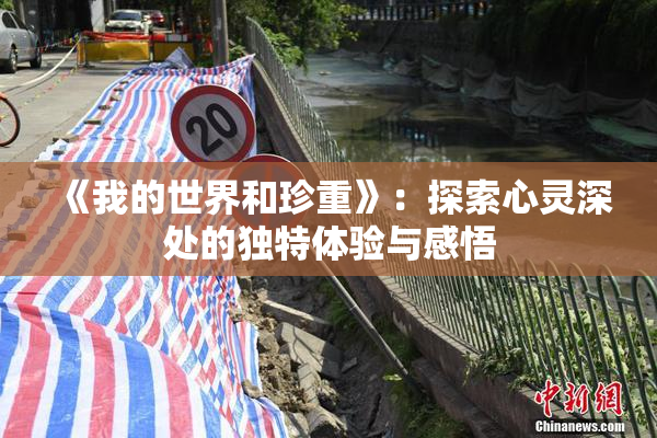 《我的世界和珍重》：探索心灵深处的独特体验与感悟
