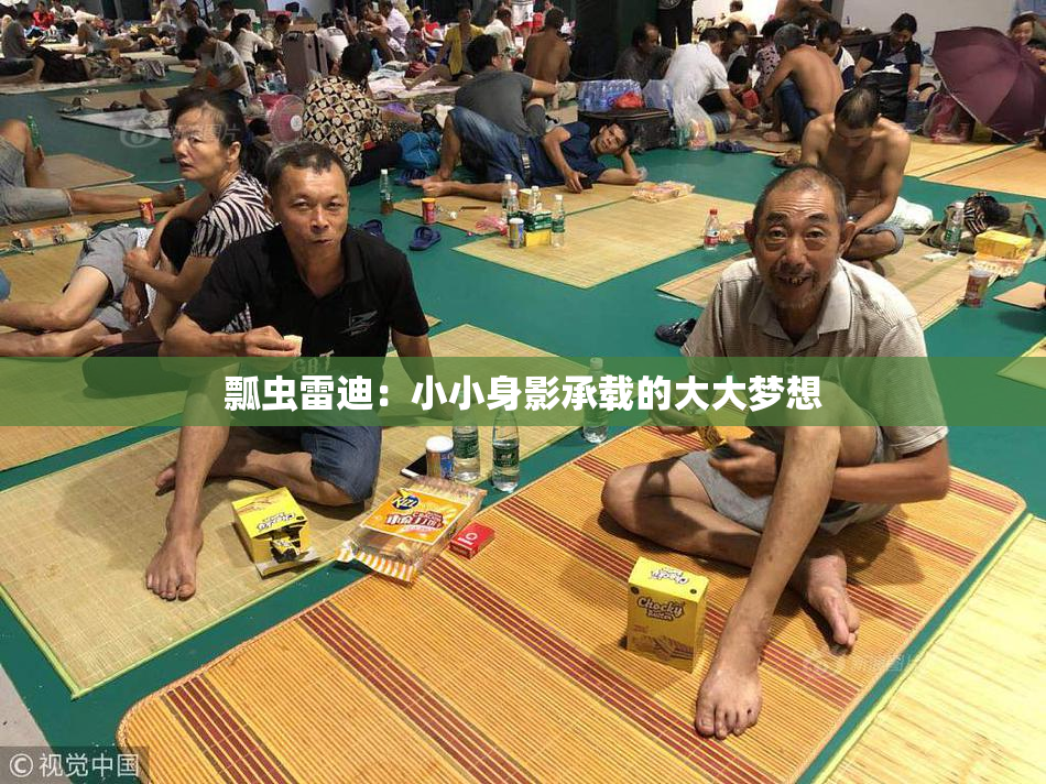 瓢虫雷迪：小小身影承载的大大梦想