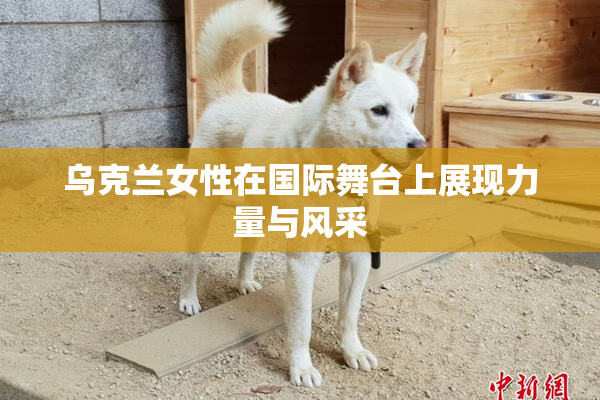乌克兰女性在国际舞台上展现力量与风采