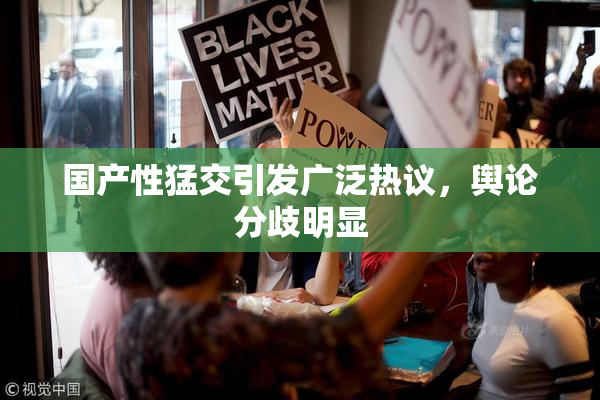 国产性猛交引发广泛热议，舆论分歧明显