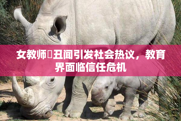 女教师婬丑闻引发社会热议，教育界面临信任危机