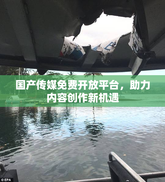 国产传媒免费开放平台，助力内容创作新机遇