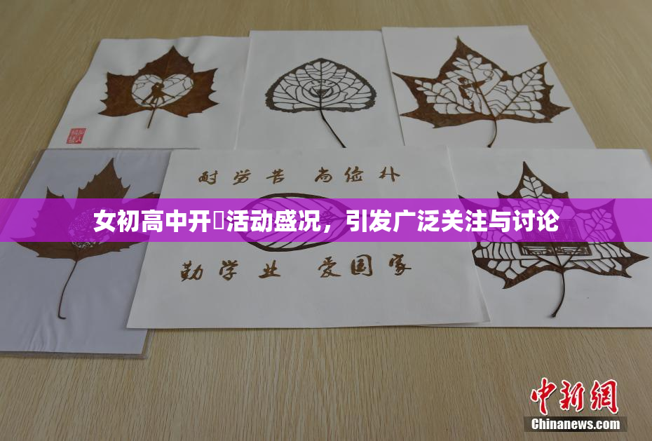 女初高中开笣活动盛况，引发广泛关注与讨论