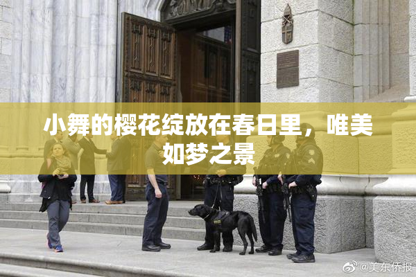 小舞的樱花绽放在春日里，唯美如梦之景