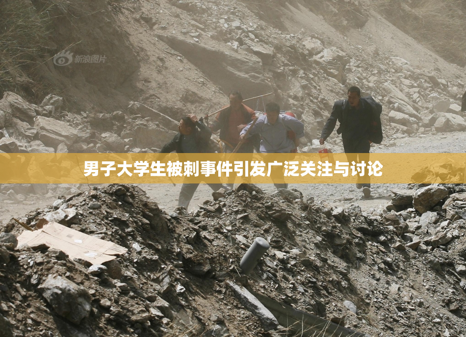 男子大学生被刺事件引发广泛关注与讨论