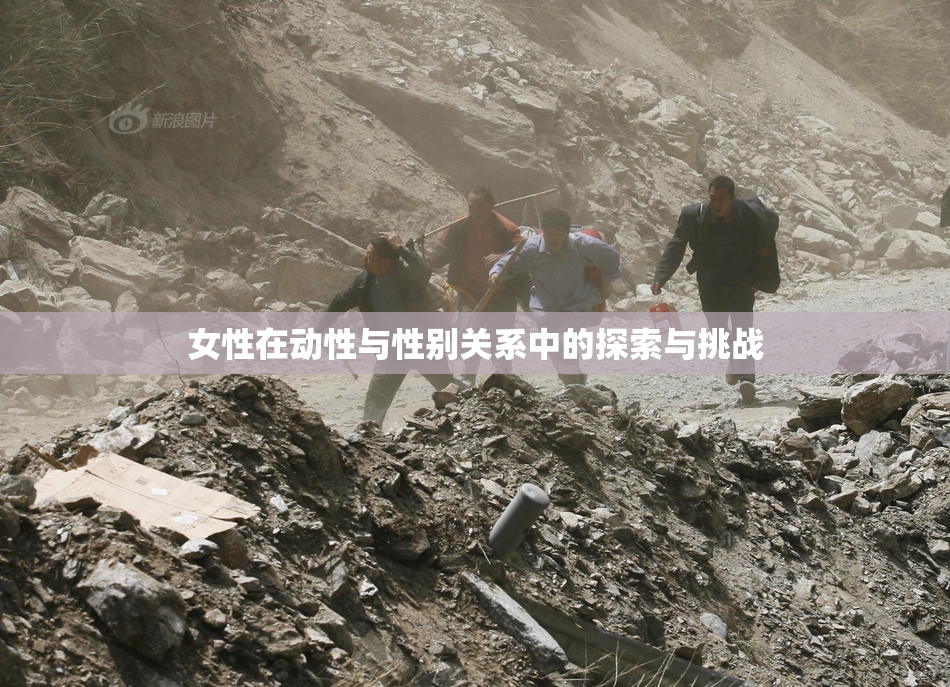 女性在动性与性别关系中的探索与挑战