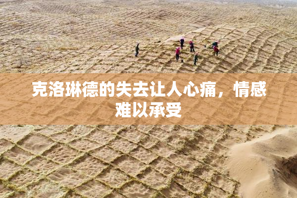 克洛琳德的失去让人心痛，情感难以承受