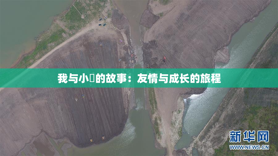 我与小娻的故事：友情与成长的旅程